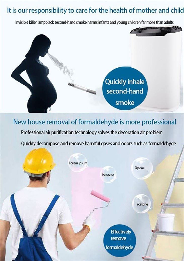 BKJ-215C Air Sensor Room Economic Air Purifier