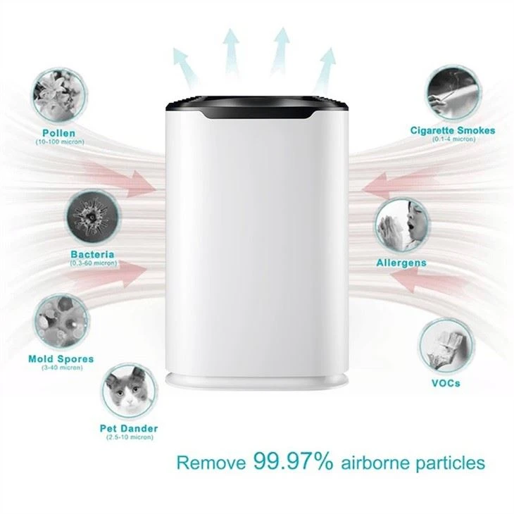BKJ-215C Air Sensor Room Economic Air Purifier