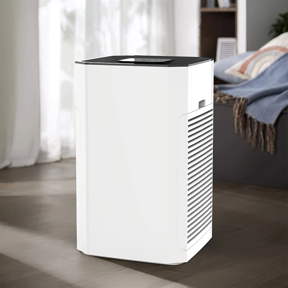 BKJ -80 bホット販売大型高効率のインテリジェントエア浄化器